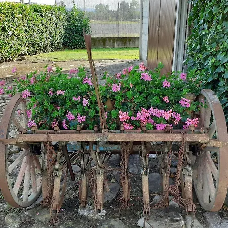La Fiora Bed & Breakfast Sansepolcro