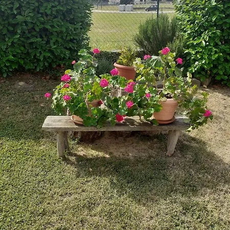 La Fiora * Sansepolcro